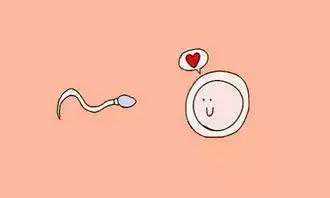 2026安徽省立医院做试管婴儿全流程收费明细表有吗?