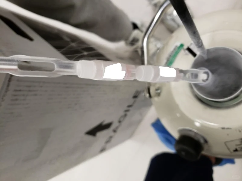 尽管面对重重困难，我们并没有放弃。,国内民间供卵试管&代孕机构成功率